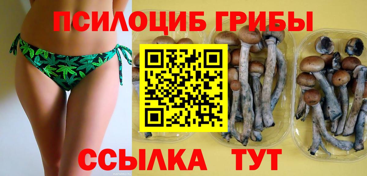 Иваново  Псилоцибиновые грибы мухоморы  Вход с VPN  Галлюциногенные грибы мицелий 
